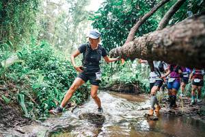 BIB: 
                            <button type="button" onclick="openModal(25375510)" class="btn btn-primary btn-sm float-right btn-popup" data-toggle="modal" data-target=".modal-high-quality">
                        <i class="fas fa-shopping-cart"></i> Add to Cart
                    </button>
                                            <button type="button" onclick="isThisMe(25375510, true)" class="btn btn-success btn-sm float-right btn-popup btn-isme hidden" data-toggle="tooltip" data-placement="bottom" title="นี่คือรูปของคุณใช่ไหม คลิกที่นี่เพื่อเอาเข้าอัลบั้ม">
                        <i class="fas fa-plus"></i> Add to album
                    </button>
                    <button type="button" onclick="isThisMe(25375510, false)" class="btn btn-warning btn-sm float-right btn-popup btn-isnotme hidden">
                        <i class="fas fa-ban"></i> Remove from album
                    </button>